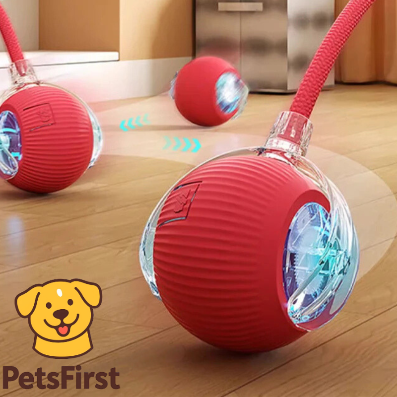 PetsFirst™ SmartTail Interactieve Kattenbal