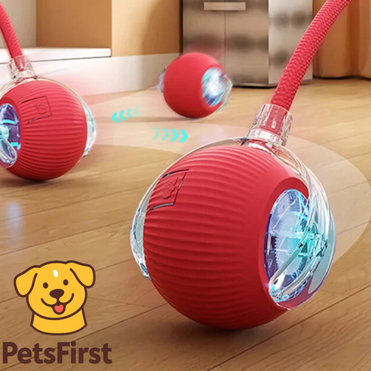 PetsFirst™ SmartTail Interactieve Kattenbal